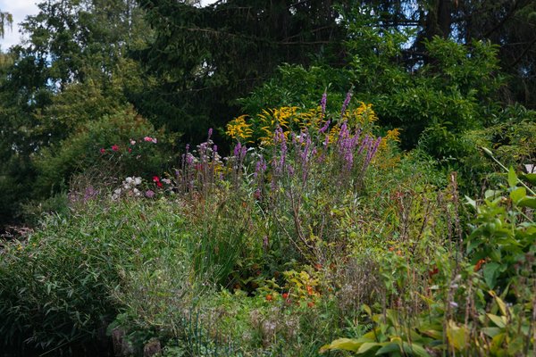 What Are the Best Practices for Creating a Wildlife-Friendly Garden in the UK?